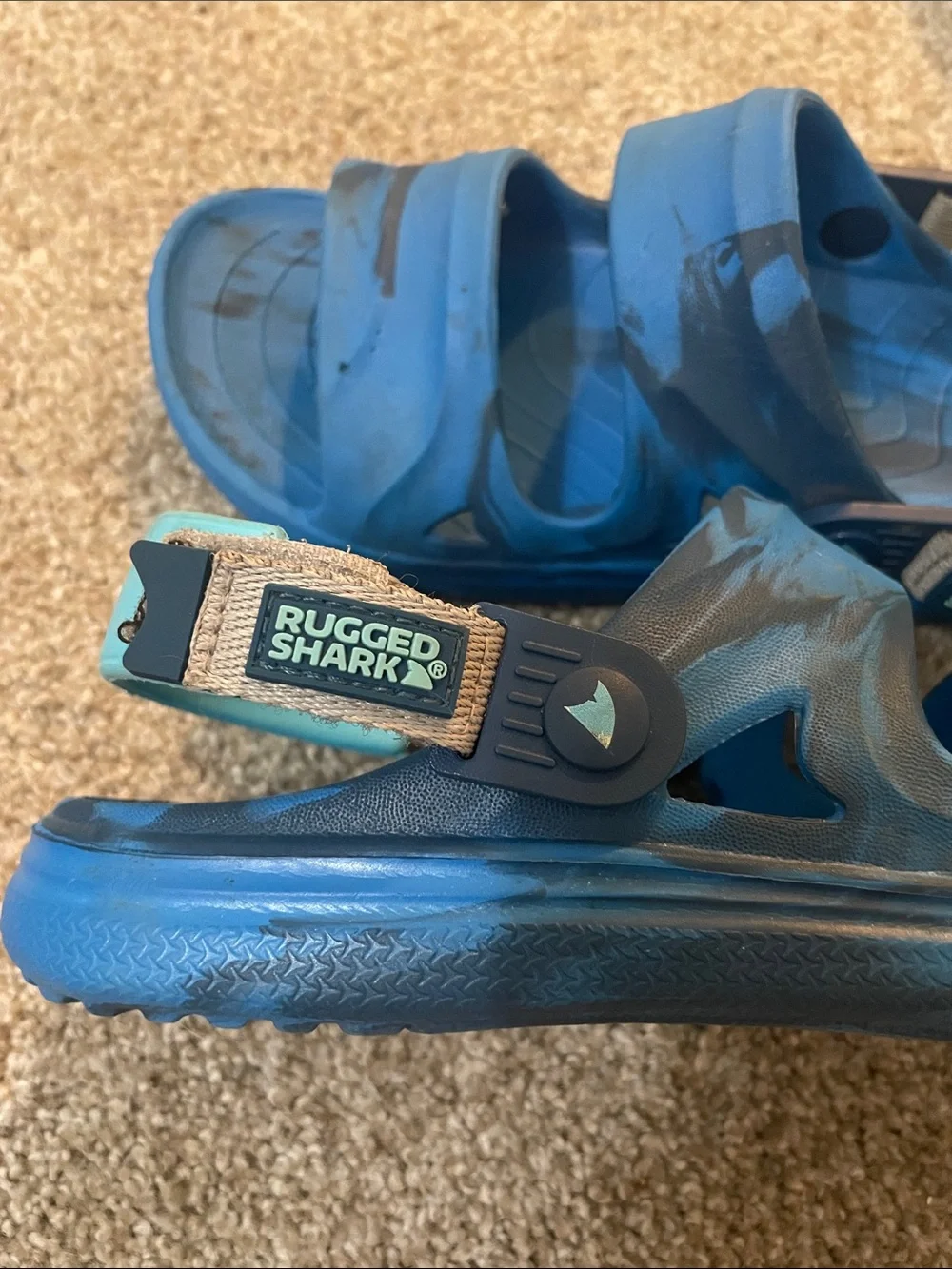 Rugged Shark durable blue